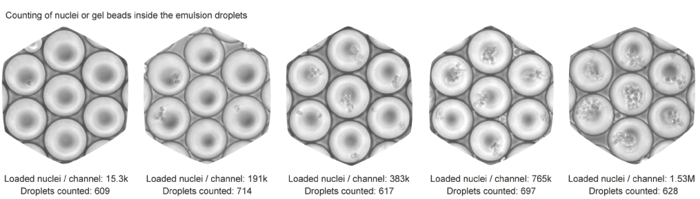 FigS1a